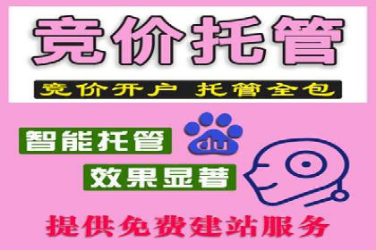 谷歌竞价广告的创意执行与效果评估——某品牌案例